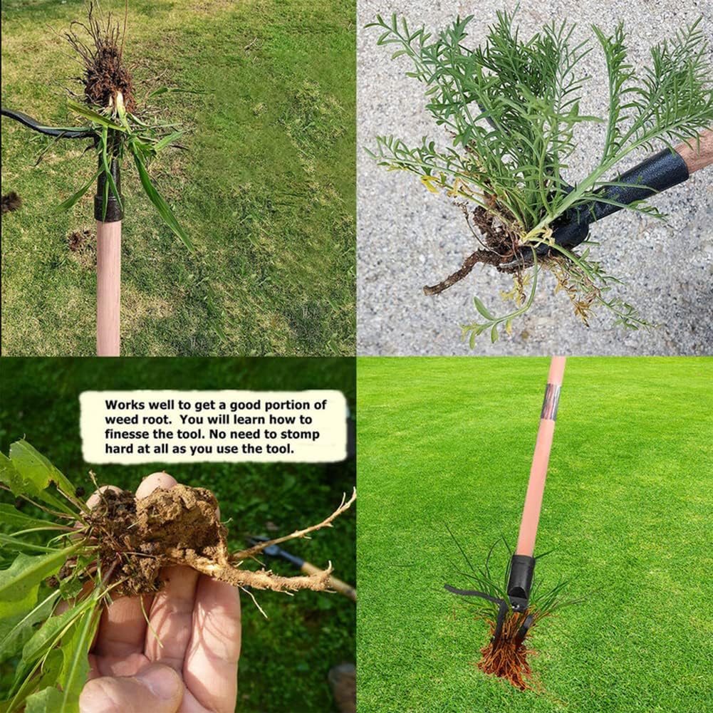 Stojący ściągacz chwastów Odłą – Weed Puller recenzja i cena