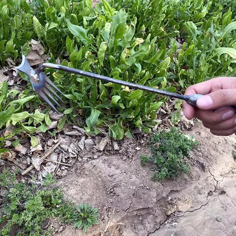 Odkurzacze do chwastów ogrodow – Weed Puller recenzja i cena