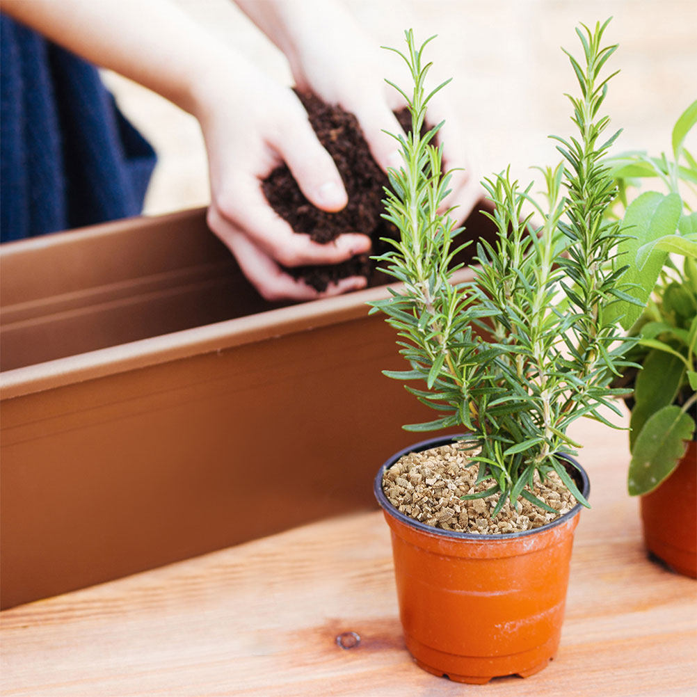1 worek wermikulitu – podłoże  – Horticulture Soil Vermiculite recenzja i cena