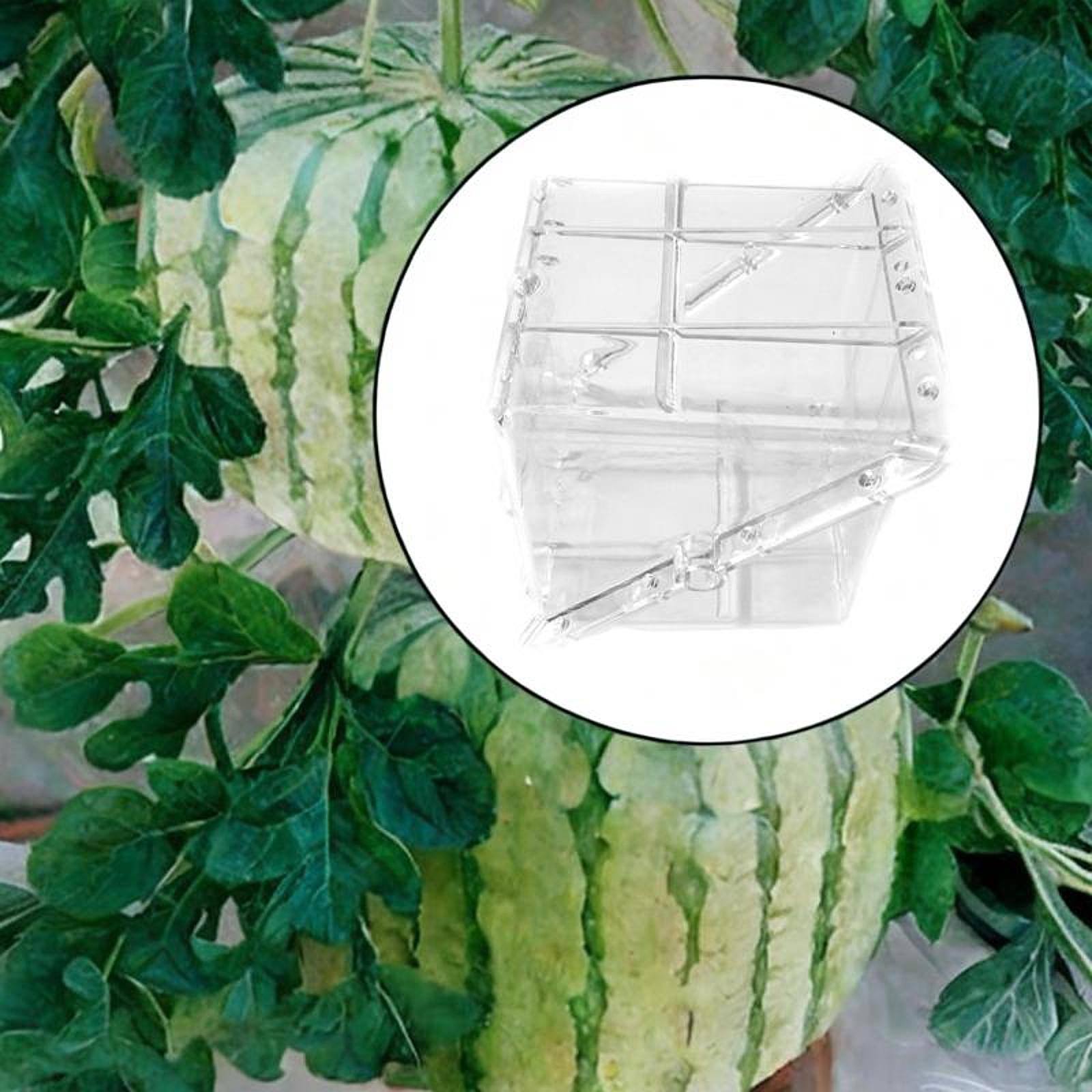 Forma do uprawy arbuzów w kszt – Gardening Tools Unique recenzja i cena