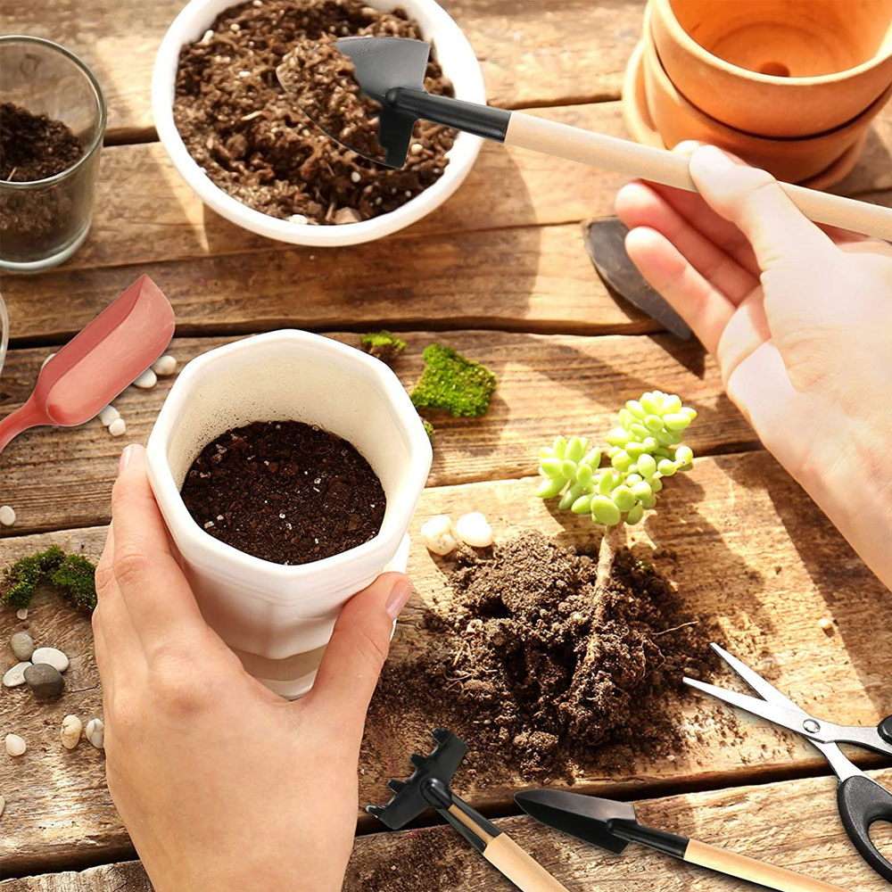 Soczyste rośliny narzędzia Min – Gardening Tools Sale recenzja i cena